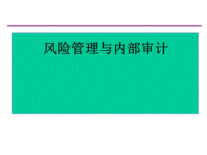 风险管理和内部审计.ppt