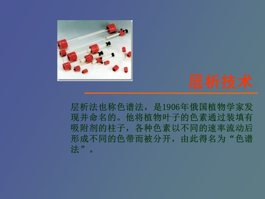 项目层析技术.ppt_第2页