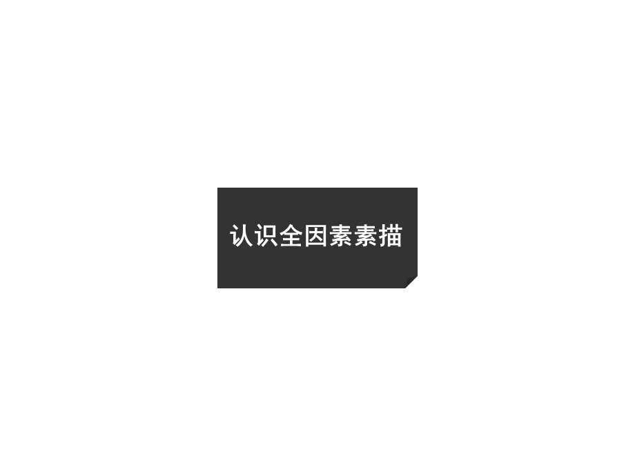 设计素描-全因素素描.ppt_第3页