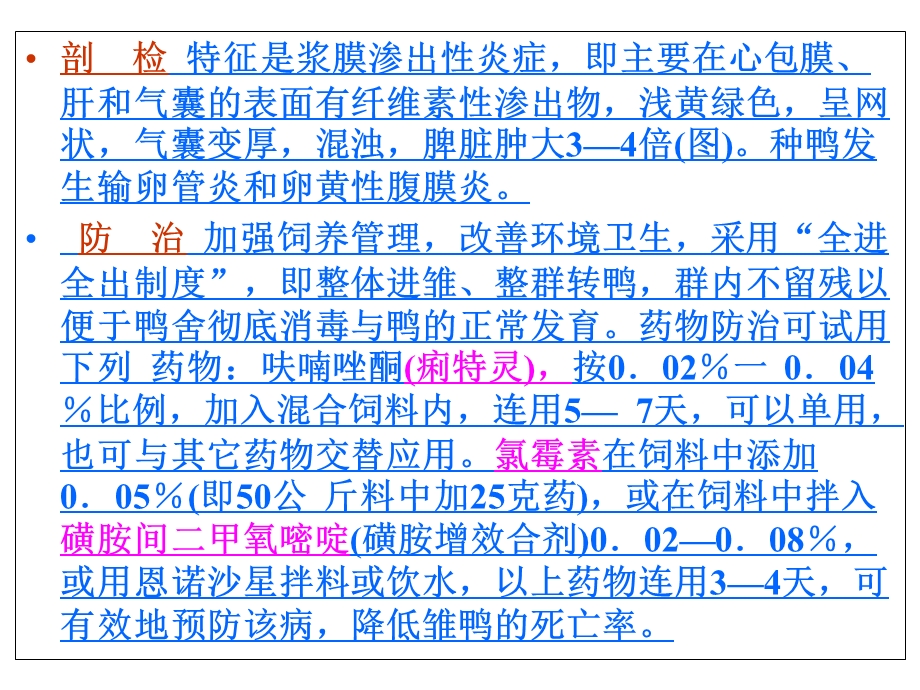 鸭病解剖图谱大肠杆菌副伤寒.ppt_第3页