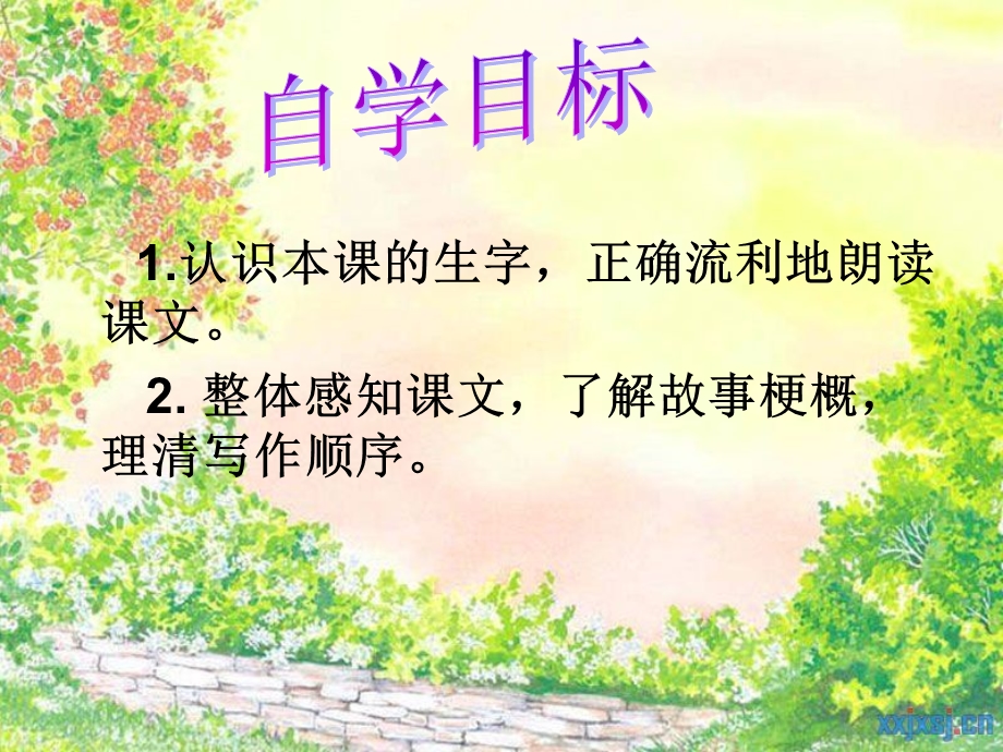 鸟儿的侦察报告.ppt_第2页