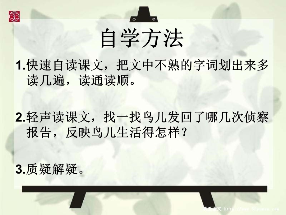 鸟儿的侦察报告.ppt_第3页