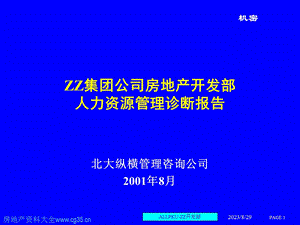 ZZ人力资源诊断与建议.ppt