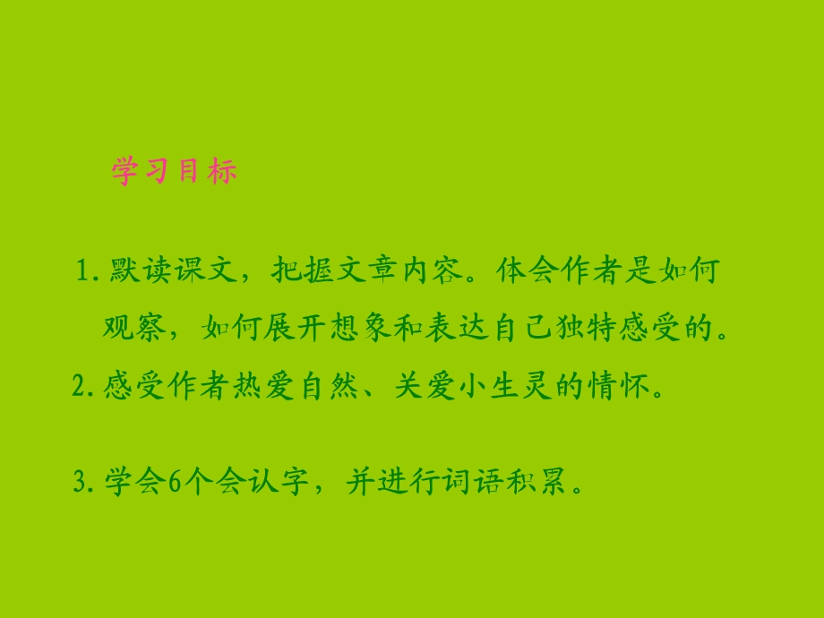 《草虫的村落课件》优秀教学.ppt_第2页