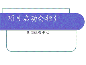 项目启动会指引.ppt