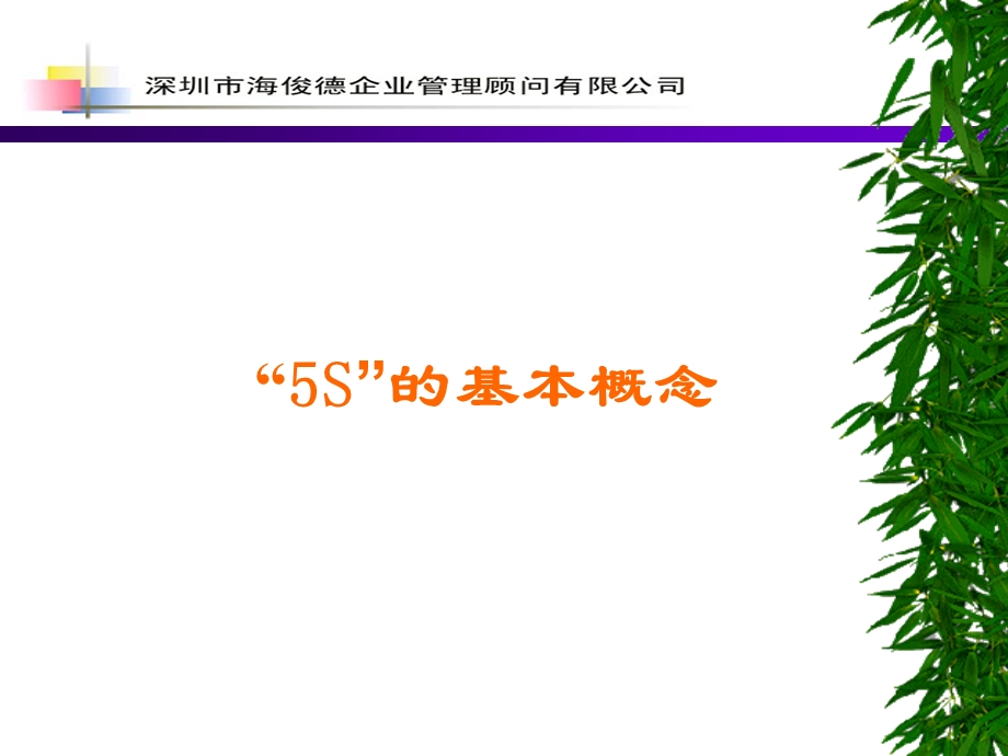 质量管理体系培训系列教材5S活动教程.ppt_第3页