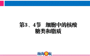 第3、4节细胞中的核酸糖类和脂质.ppt