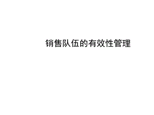 销售队伍的有效性管理.ppt