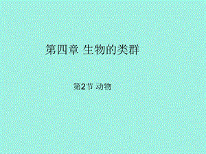 鱼类和两栖类.ppt