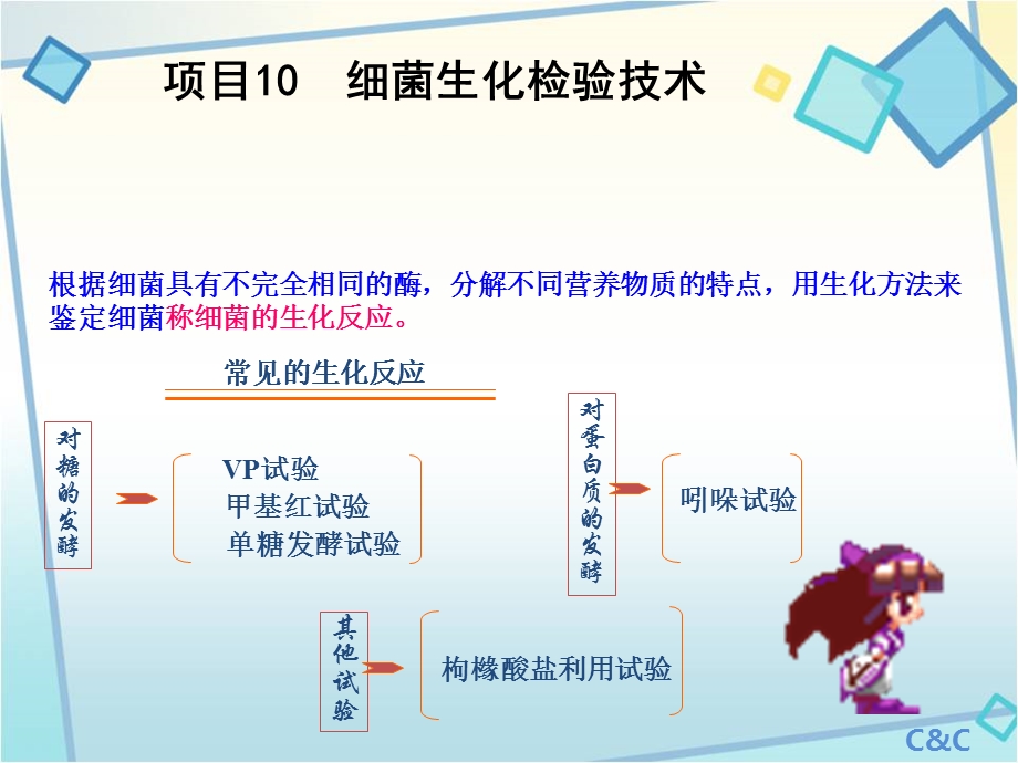 项目10细菌生化检验技术.ppt_第1页