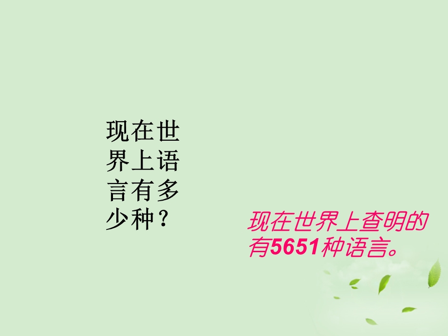 《有趣的语言翻译》课件必修.ppt_第2页