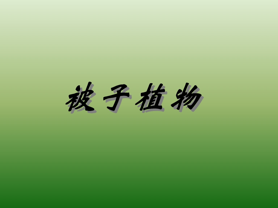 被子植物分类学.ppt_第1页