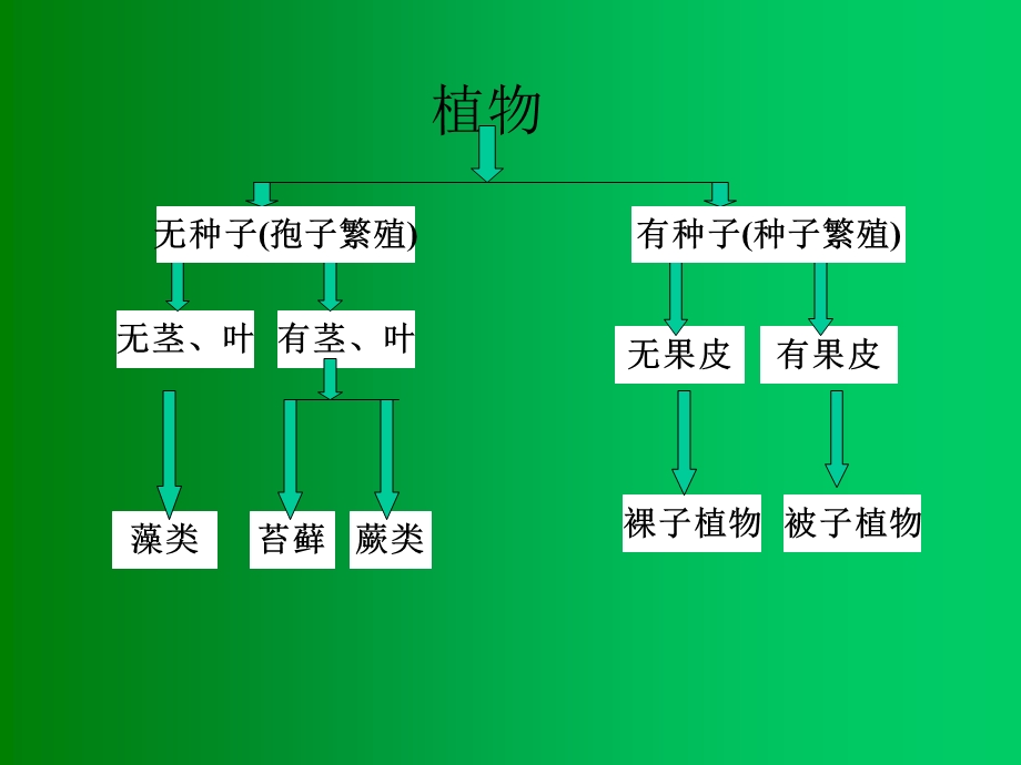 被子植物分类学.ppt_第2页