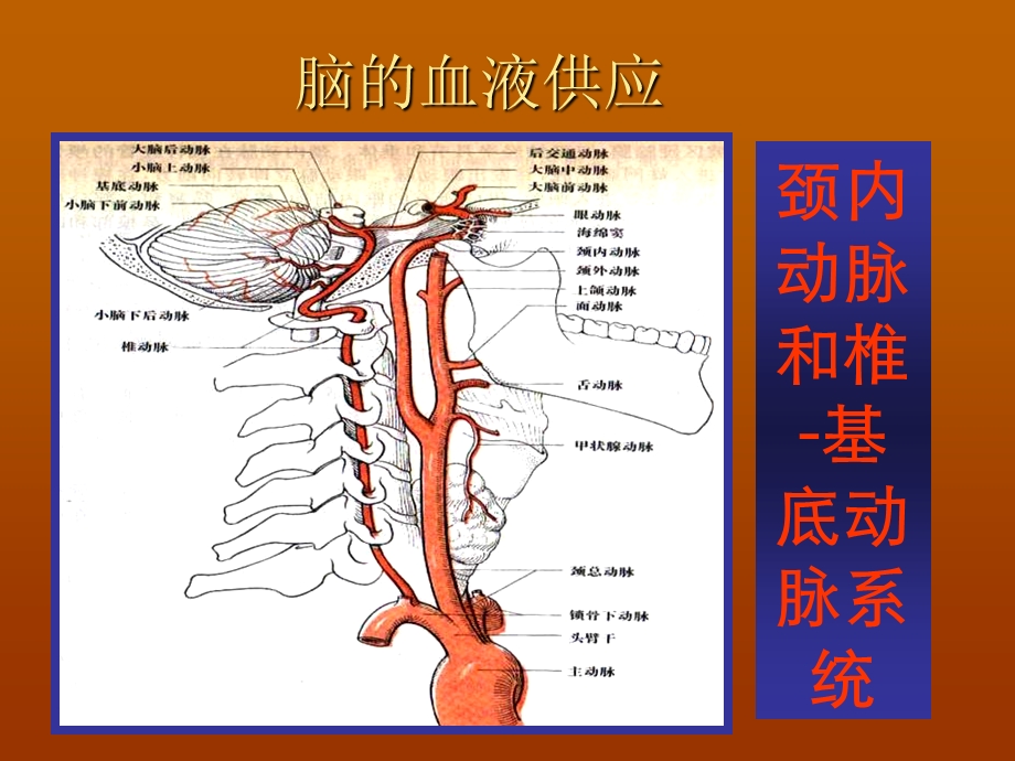 血管病神经保护治疗胡学强.ppt_第2页