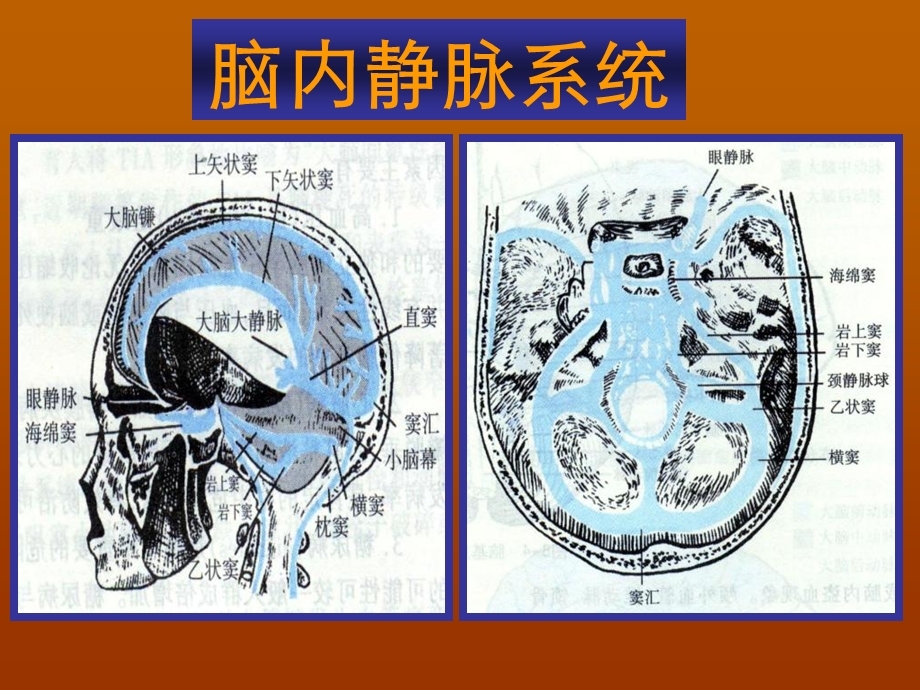 血管病神经保护治疗胡学强.ppt_第3页