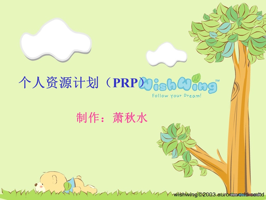 个人资源计划V2.0.ppt_第1页