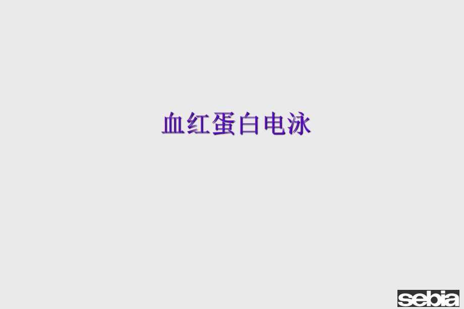 血红蛋白-初级版.ppt_第2页