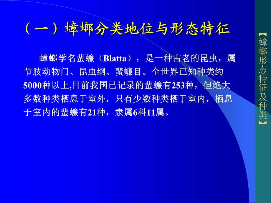 蟑螂生物学及防制.ppt_第3页