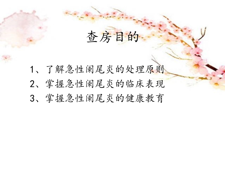 阑尾炎护理查房.ppt_第2页