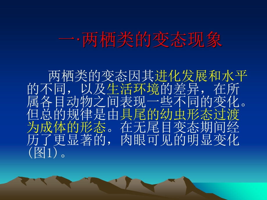 两栖动物的变态发育.ppt_第3页