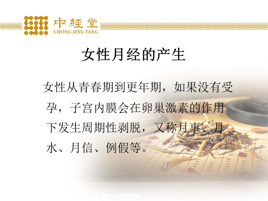 中医妇科月经病PPT.ppt_第3页