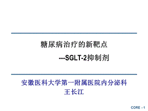 达格列净的疗效与安全.ppt