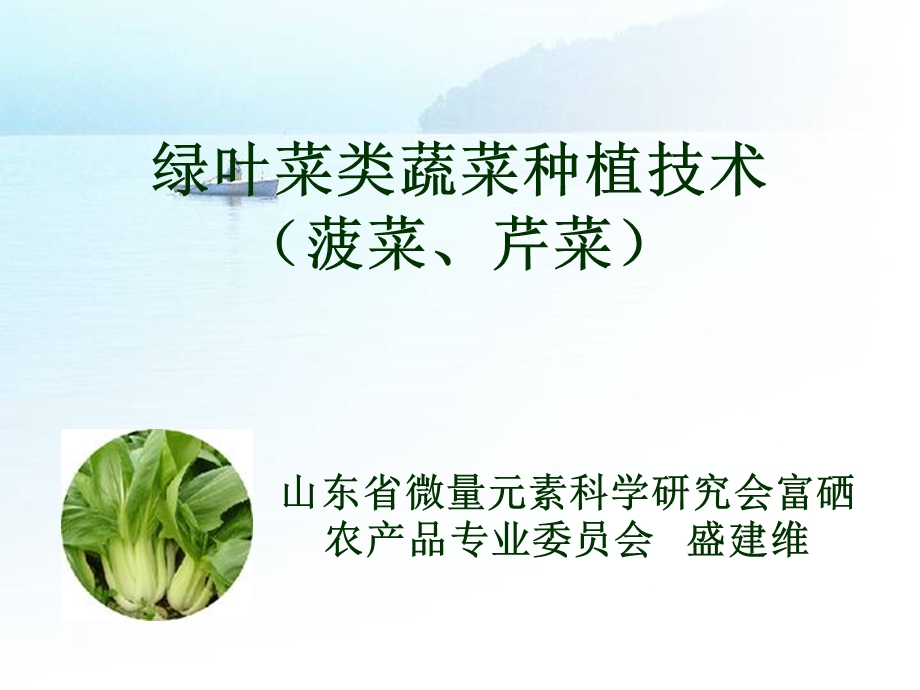 绿叶类蔬菜种植技术.ppt_第1页