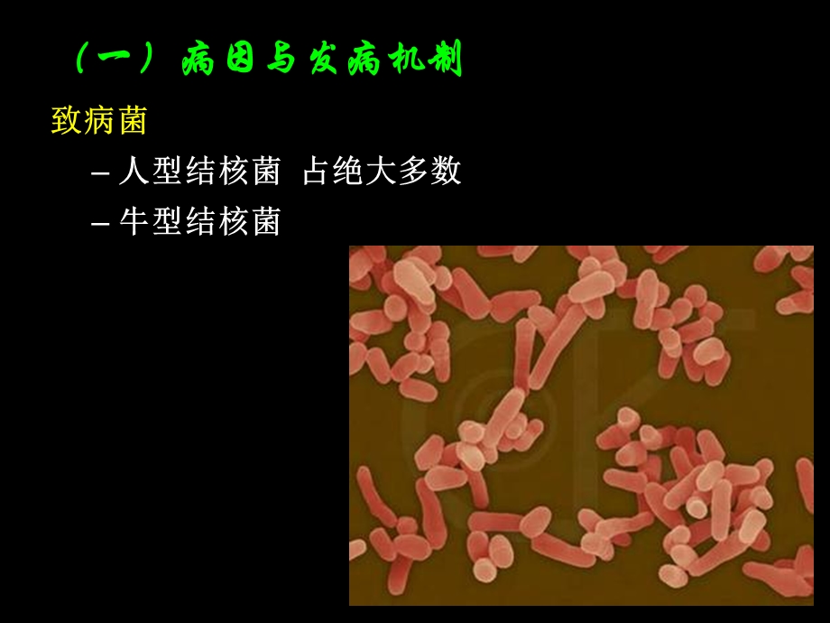 第六节肠结核及结核性腹膜炎病人的护理.ppt_第3页