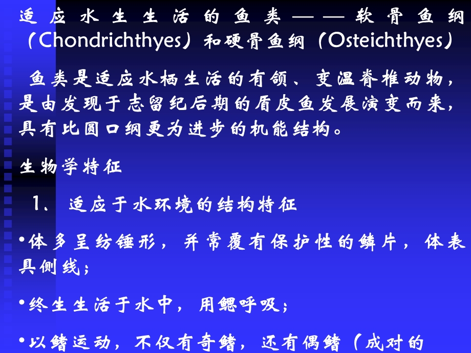 动物学11软骨鱼纲(Chondrichthyes)和硬骨鱼纲(Osteichthyes).ppt_第1页