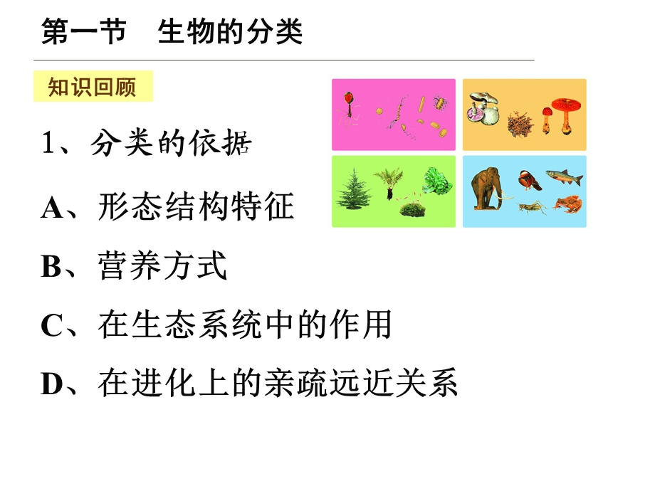 丰富多彩的生物世界复习苏教版八年级下册.ppt_第2页