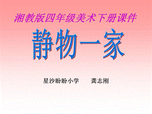 (湘教版)四年级美术下册课件-静物一家.ppt