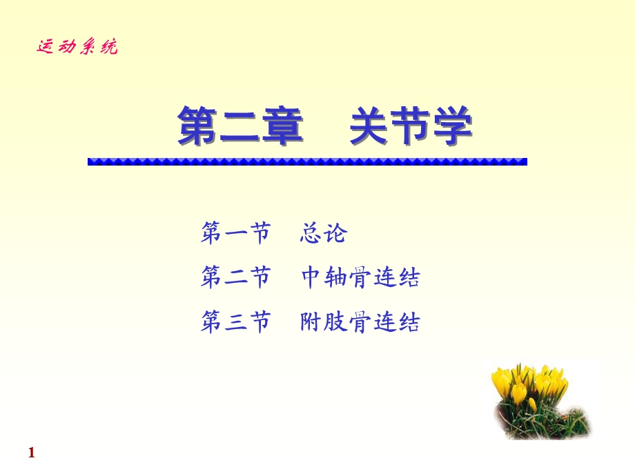 解剖学图谱关节学ppt课件.ppt_第1页