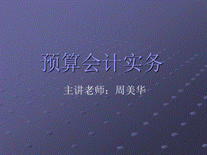 预算会计实务.ppt