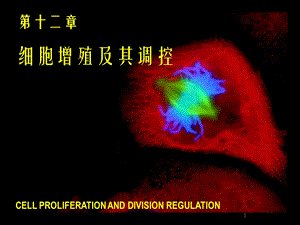 《细胞生物学》120细胞增殖及其调控.ppt