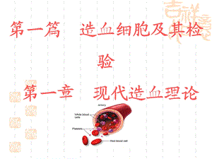 血液学检验-1-现代造血理论.ppt