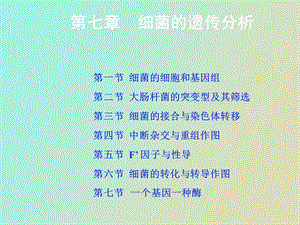 遗传学课件细菌.ppt