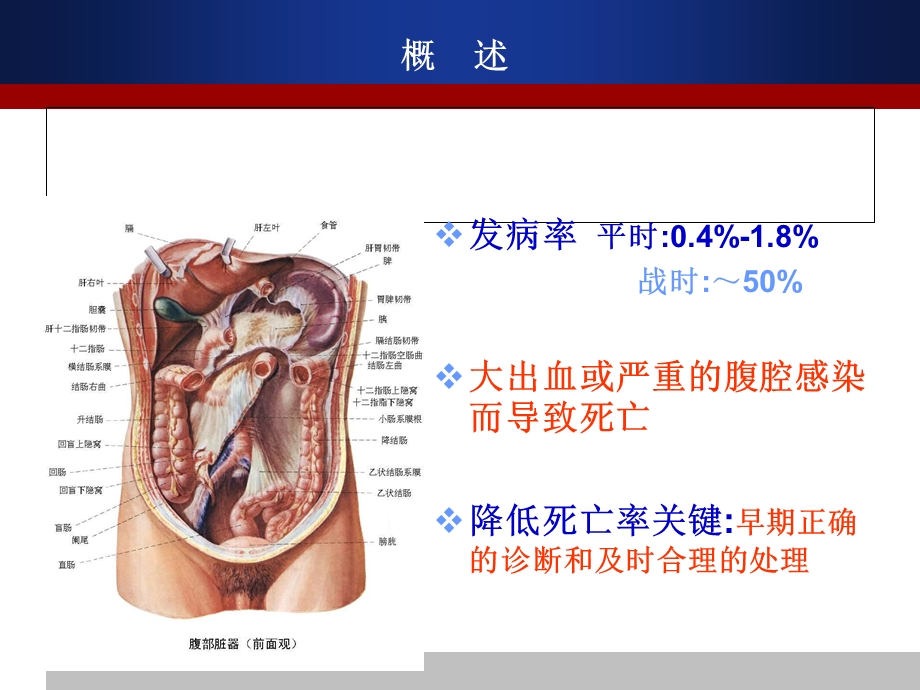 《外科学》课件-温医大-腹部损伤.ppt_第3页