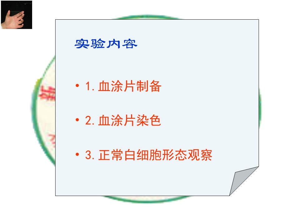 血涂片制备染色及白细胞形态分解.ppt_第2页