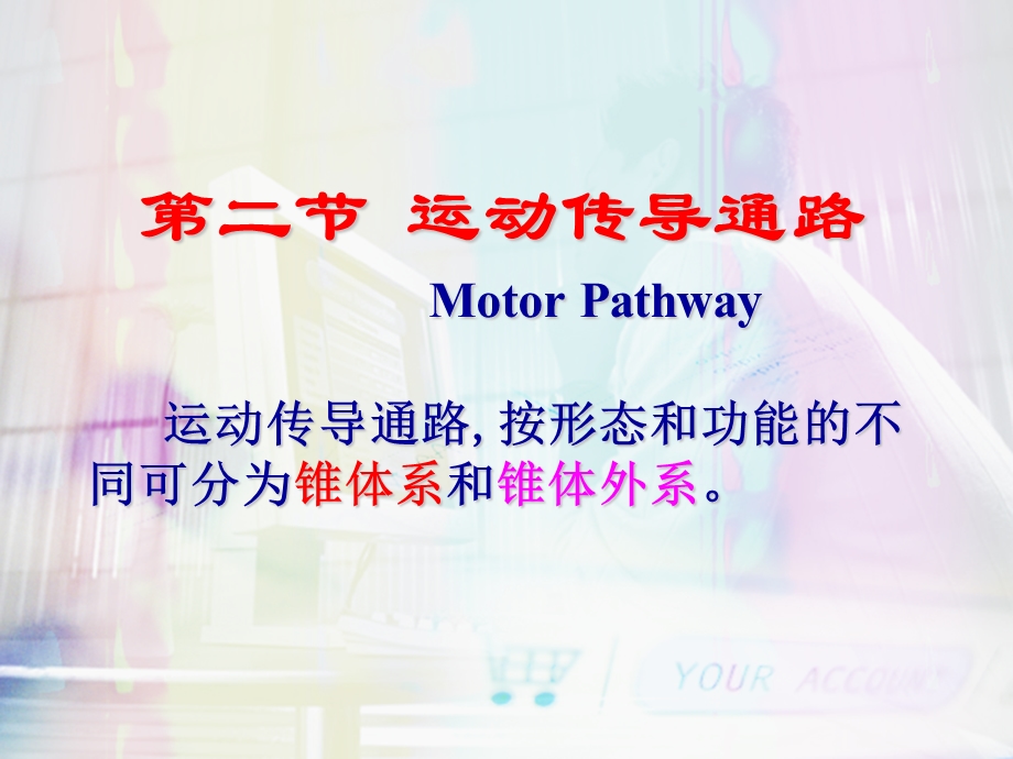 运动传导通路培训课件.ppt_第1页