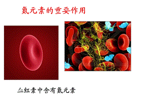 生产生活中的含氮化合物孟娜.ppt