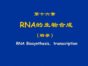 《生物化学教学课件》rnabiosynth.ppt