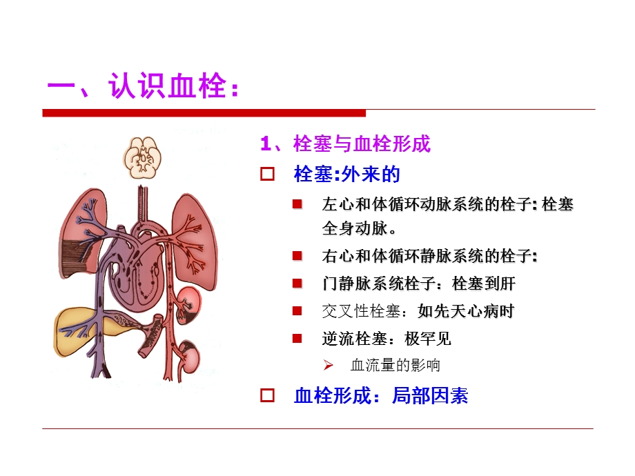 血栓栓塞性疾病的急诊溶栓治疗PPT课件.ppt_第2页