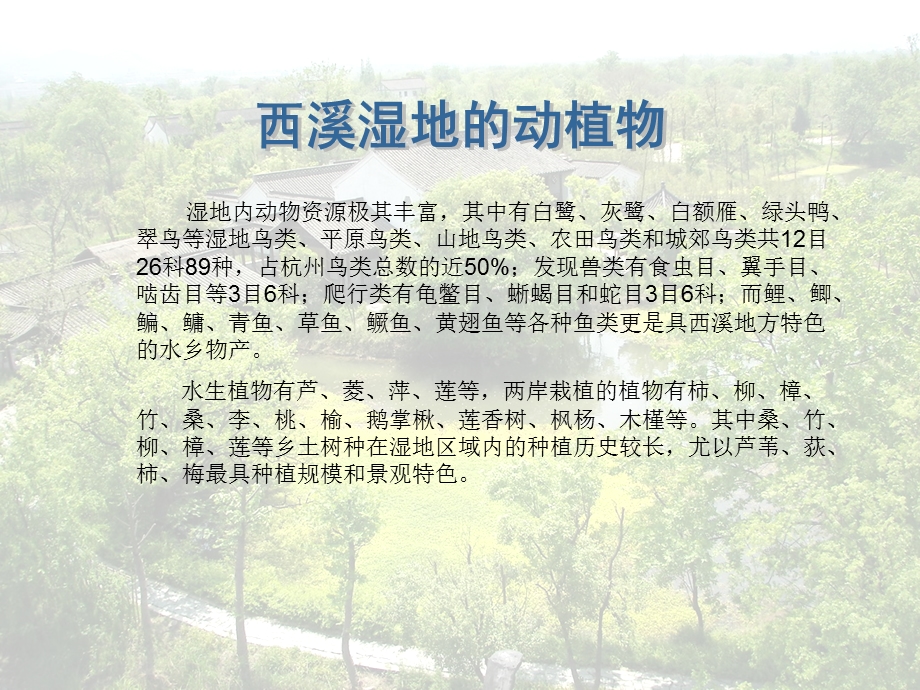 西溪湿地动植物简介.ppt_第1页