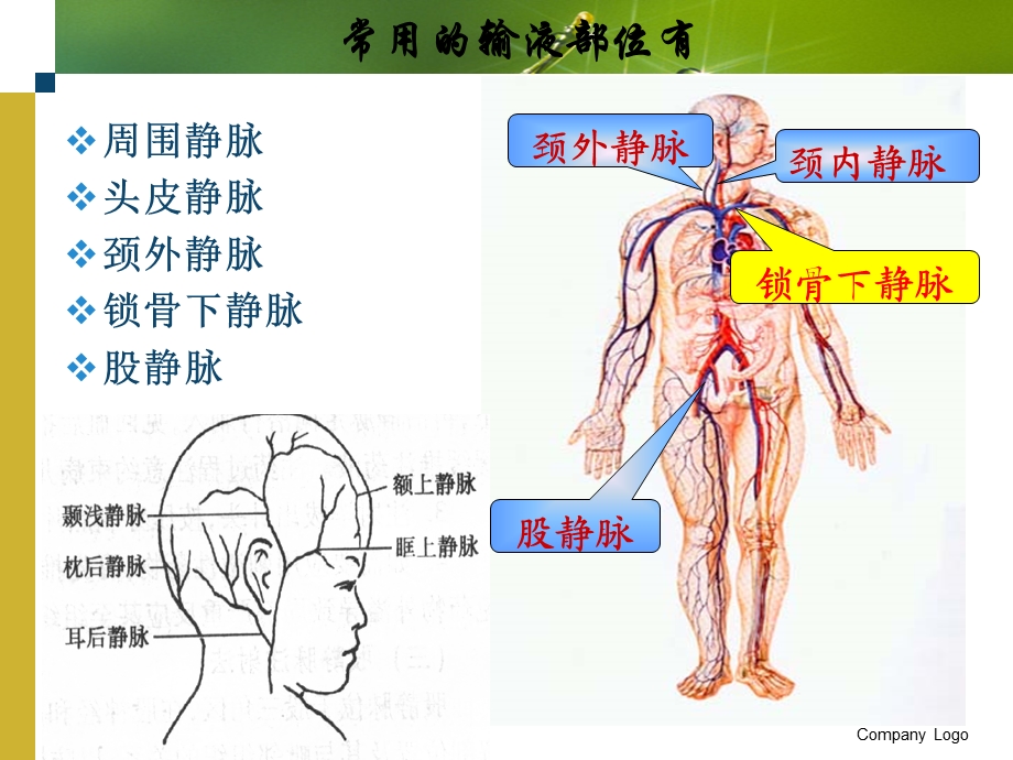 静脉输液ppt课件.ppt_第2页