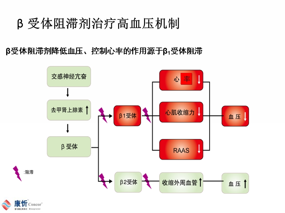 β受体阻滞剂的心脏保护作用.ppt_第3页