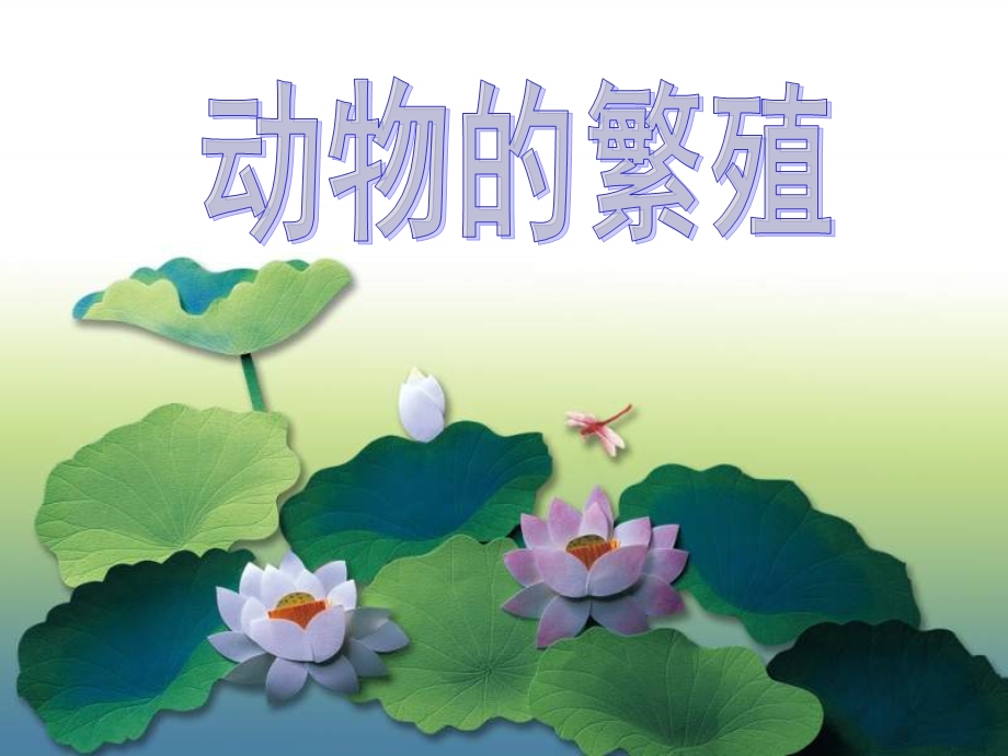 (鄂教版小学科学五年级下册《动物的繁殖》PPT).ppt_第1页