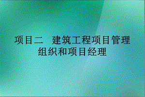 项目二管理组织和项目经理精要.ppt