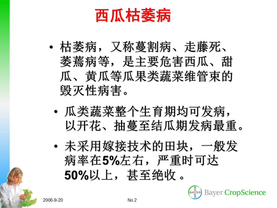 西瓜病虫害防治技术.ppt_第2页