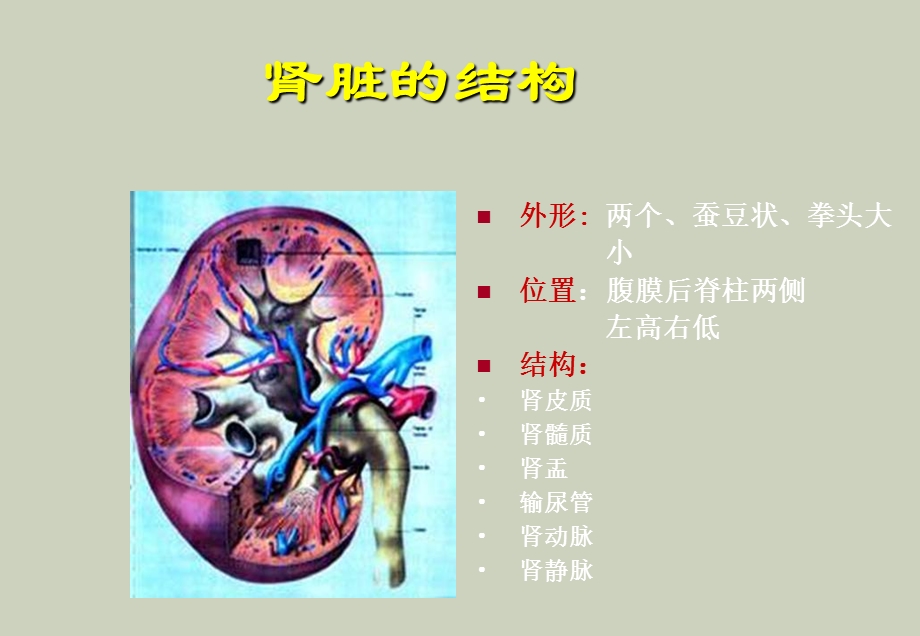 营养饮食宣教.ppt_第2页