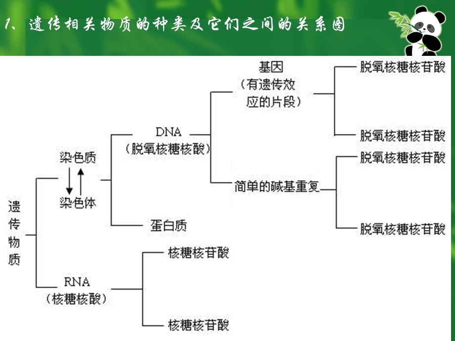 遗传变异和生物进化.ppt_第3页